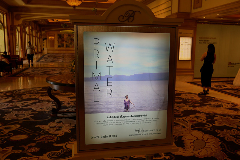 今回のツアーで訪れたときには、ちょうど日本人アーティストの作品を取り上げた展示が行なわれていました