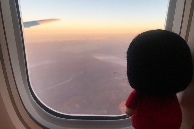 今年もよい年になりそうですわ～！JALさんありがとうございます