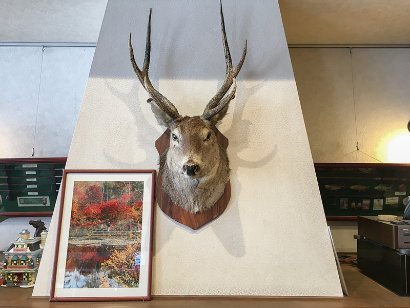 立派な鹿の剥製と暖炉