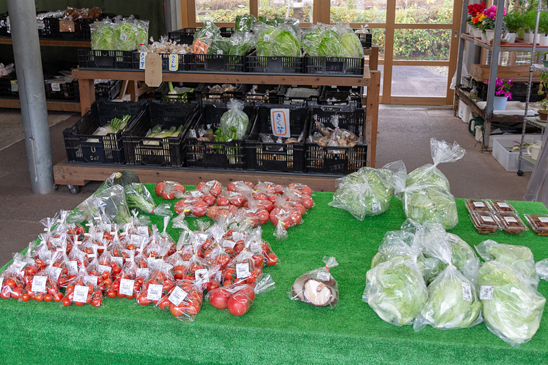 高知は野菜の生産も盛ん。直売所にはトマトや大根、白菜といった定番の野菜から珍しい農産物が所狭しと並んでいる。なかでも「東山」と呼ばれている蜜をまぶした干しイモは、この地域ならではの名産品とのことだ