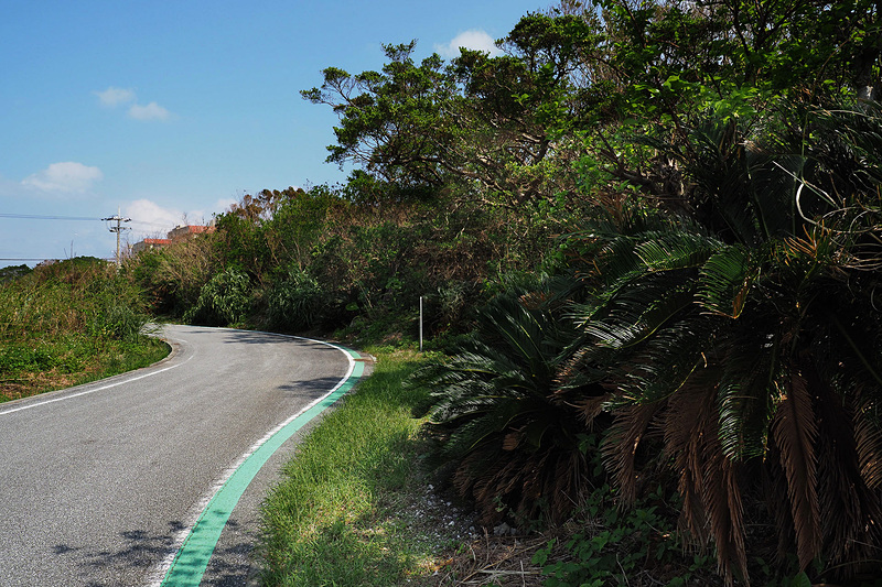 よく整備された舗装と路面サインがサイクリングをサポートしてくれてとても分かりやすくい粟国島の道路。基本的には信号機はいらないのだが、島内の子供たちが信号機というものを知るために、島には1か所だけ信号機が設置されている