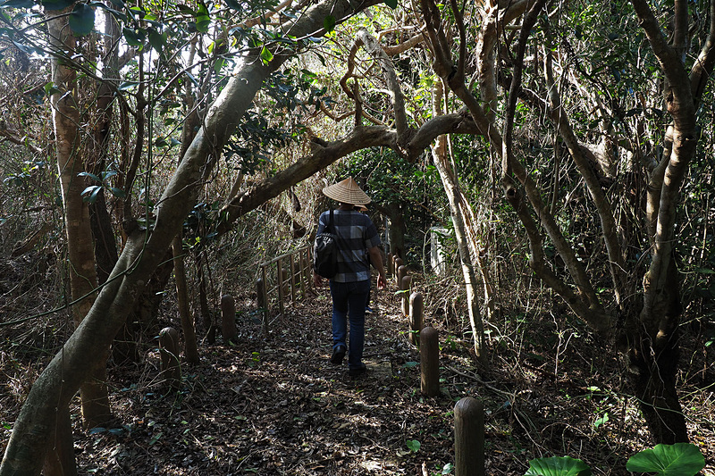 雑木林を進んで鍾乳洞をめざします