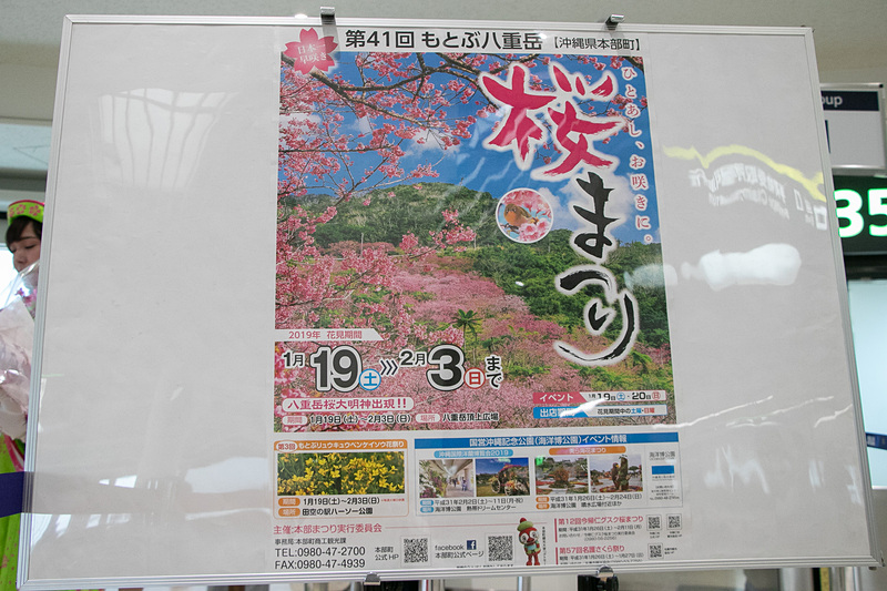 「第41回もとぶ八重岳桜祭り」を開催している沖縄県本部町の「2019もとぶミス桜」3名からソラシドエアへ、琉球寒緋桜の花束贈呈が行なわれた