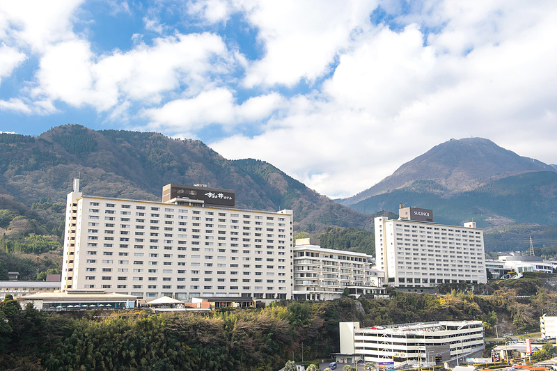 別府温泉 杉乃井ホテル（写真提供：オリックス不動産）