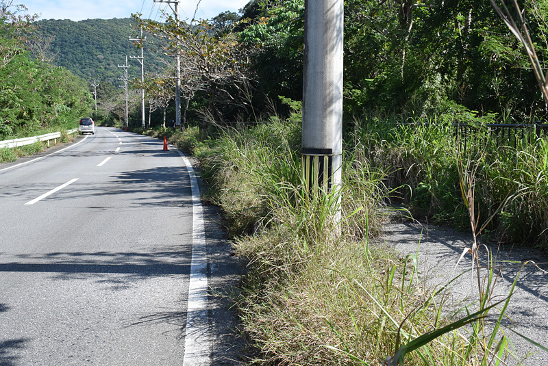 作業前の歩道は、草が生い茂り歩行もままならないところもあった