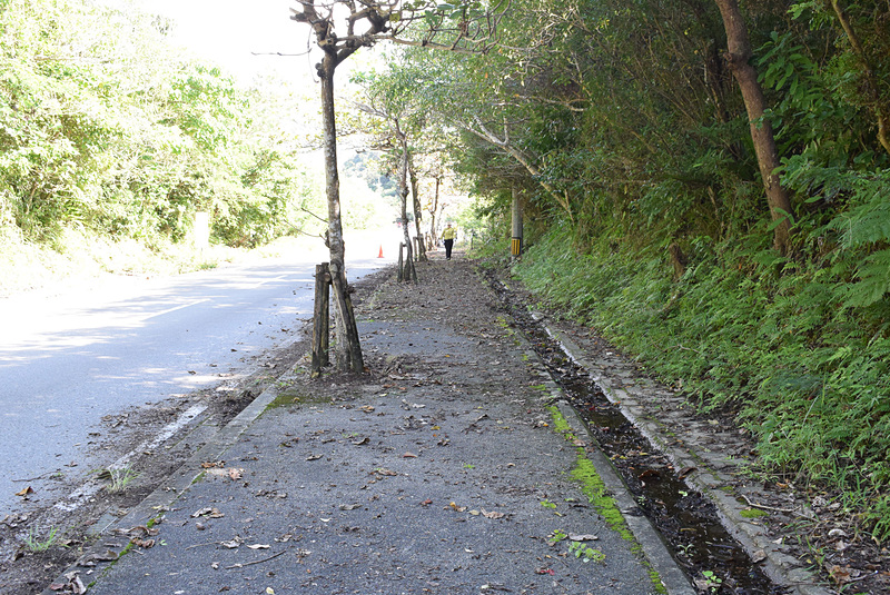 作業後の歩道。向こうから歩いてくる人が見えるくらい見通しがよくなった