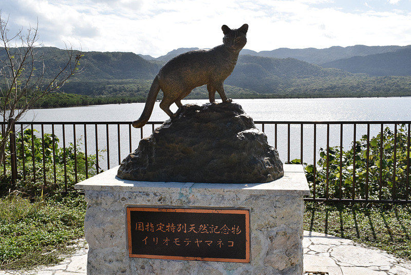 イリオモテヤマネコが安心して暮らせる西表島に！