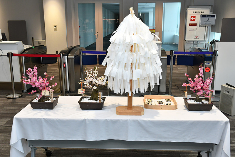 ゲート前に準備された梅鉢