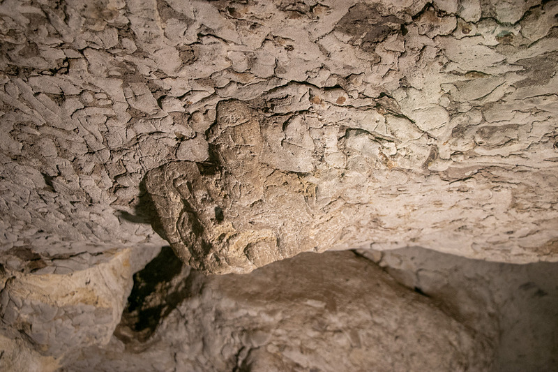 亀がひっくり返ってそのまま化石になったという