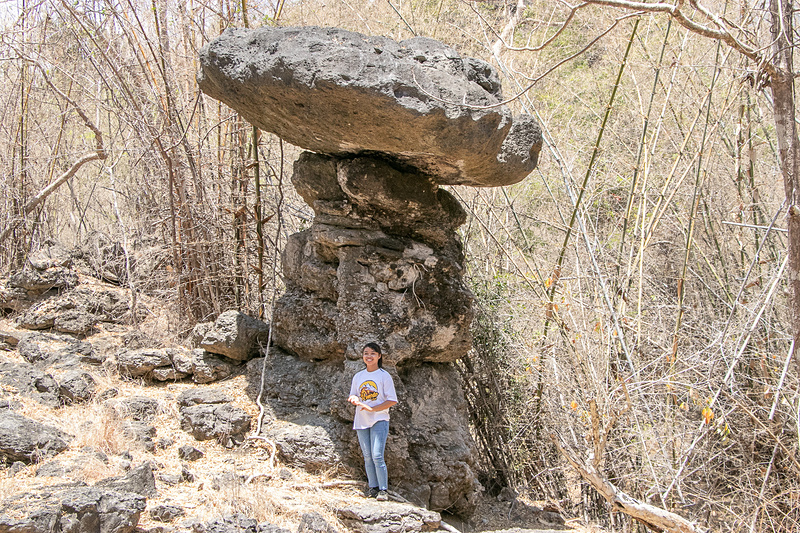アンブレラストーンと呼ばれていた巨大な岩。支えている下部が時間とともに削れてこうなったんだと分かっていても不思議な光景に感じてしまう