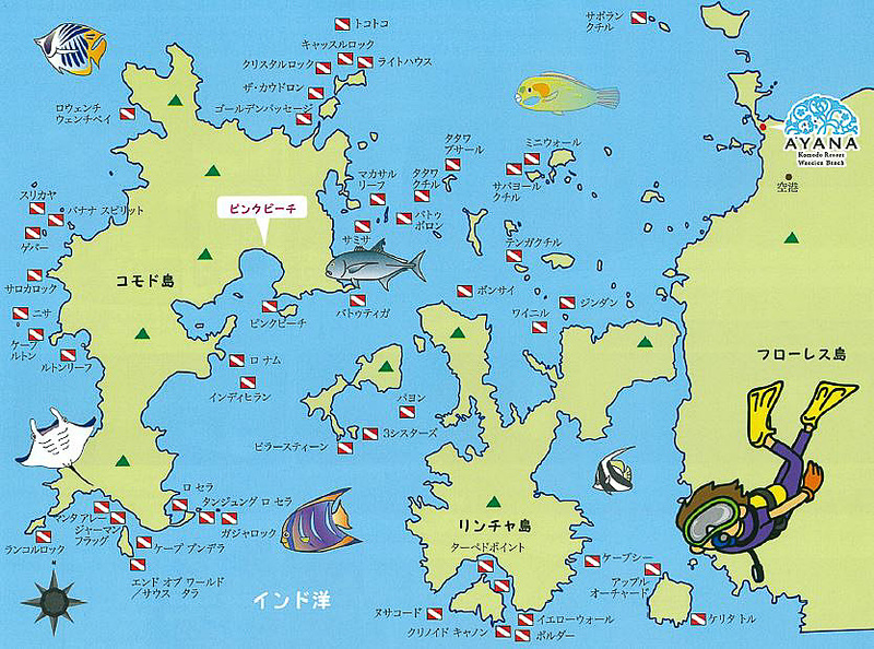 「アヤナ コモド リゾート ワエチチュ ビーチ」があるのは右にあるフローレス島。その隣にあるのがリンチャ島、左にコモド島がある