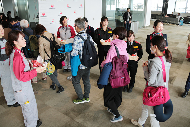 チョコレートを配布するJALグループのスタッフたち。R搭乗ゲートでのイベントでは男女10人のスタッフが参加していた