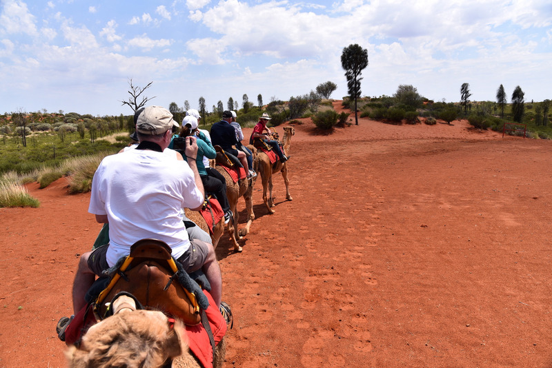 赤土の広がる小高い丘で小休憩
