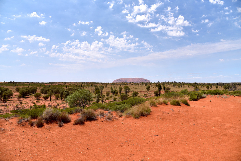 丘からウルルをじっくり堪能し、牧場へ戻ることにした