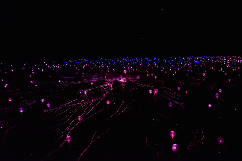 周囲一帯が静かな光で包まれる「フィールド・オブ・ライト」