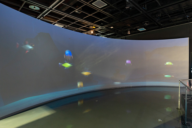 海ゾーンの展示