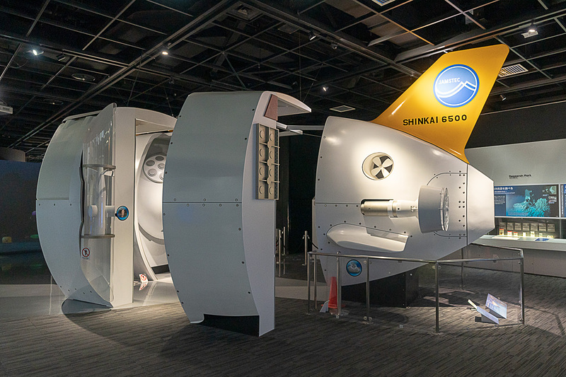 海ゾーンの展示
