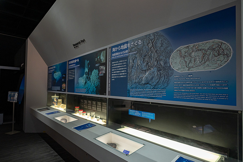 海ゾーンの展示