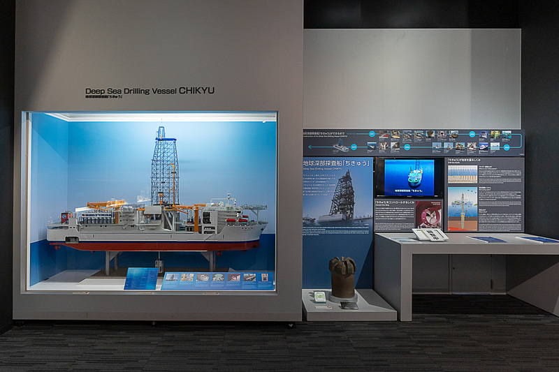 海ゾーンの展示
