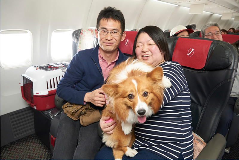 JALとイオンペットは「JALチャーター便で行く ワンちゃんとの旅 ワンワンJET沖縄 4日間」の販売を開始した