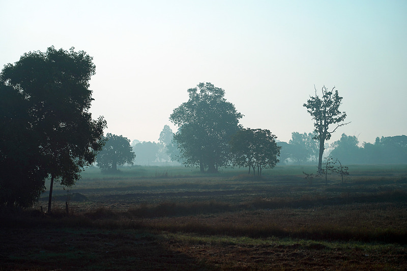 だんだん車窓から見えるのどかに