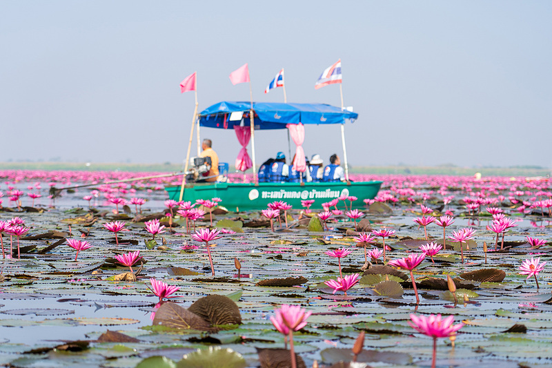国旗がたなびくカラフルなボートが景色にマッチしていて思わずパチリ