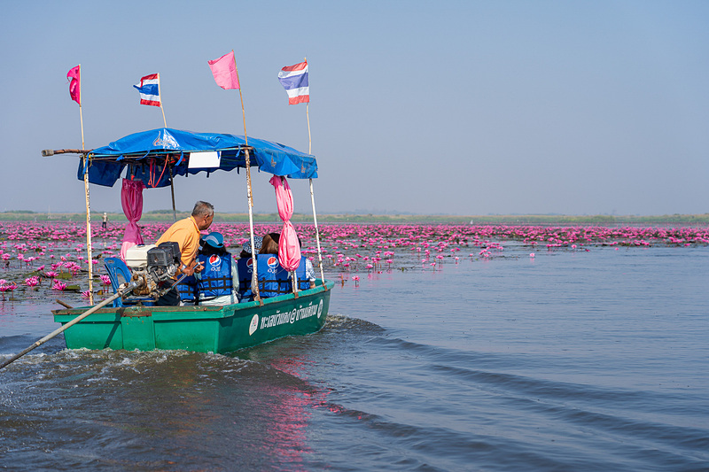 密集エリアに30分ほど滞在して岸へと戻ります