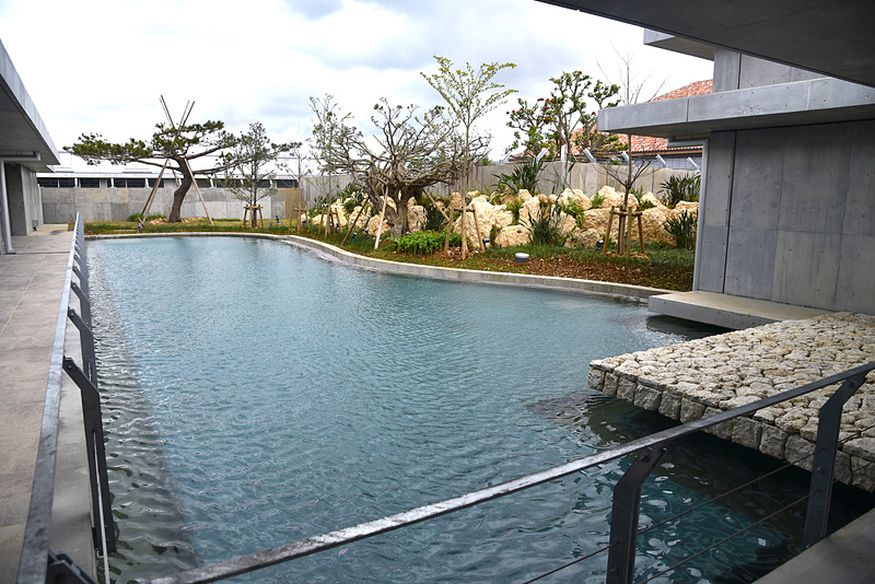 まるで周囲の海とつながっているかのような水盤