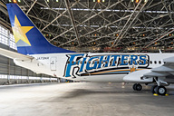 スカイマーク、北海道日ハムコラボ機「ファイターズジェット」を