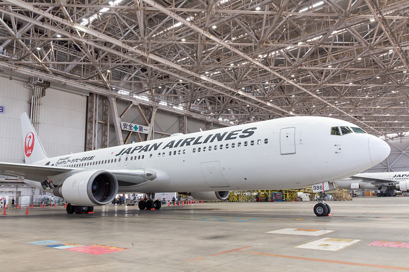 特別ペイントされたのはボーイング 767-300型機（登録記号：JA8986）。就航地は羽田～那覇（沖縄）/旭川/函館/小松/出雲/徳島/大分/長崎/熊本/鹿児島が予定されている