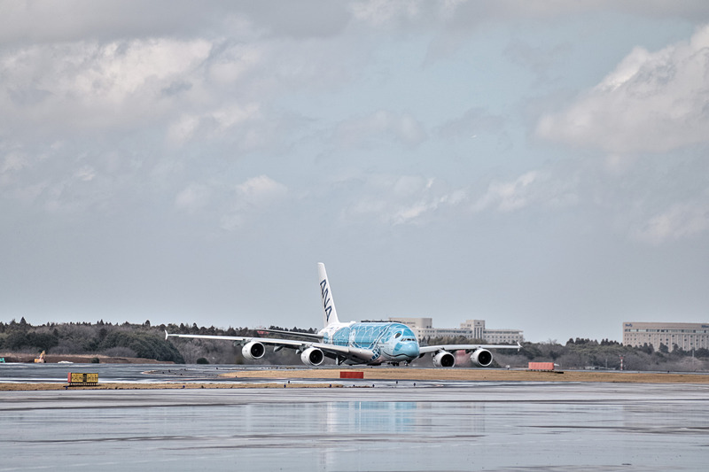 ウォーターキャノンに迎えられるFLYING HONU