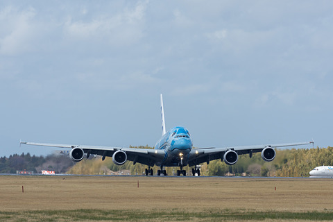 値下げしました ANA AIRBUS A380 FLYING HONU 09_l.jpg
