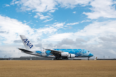 ●新…エアバスA380／Flying Honu 1/230約30cm 08_l.jpg