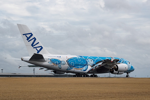 ANAのエアバス A380型機「FLYING HONU」1号機の日本到着を写真で紹介