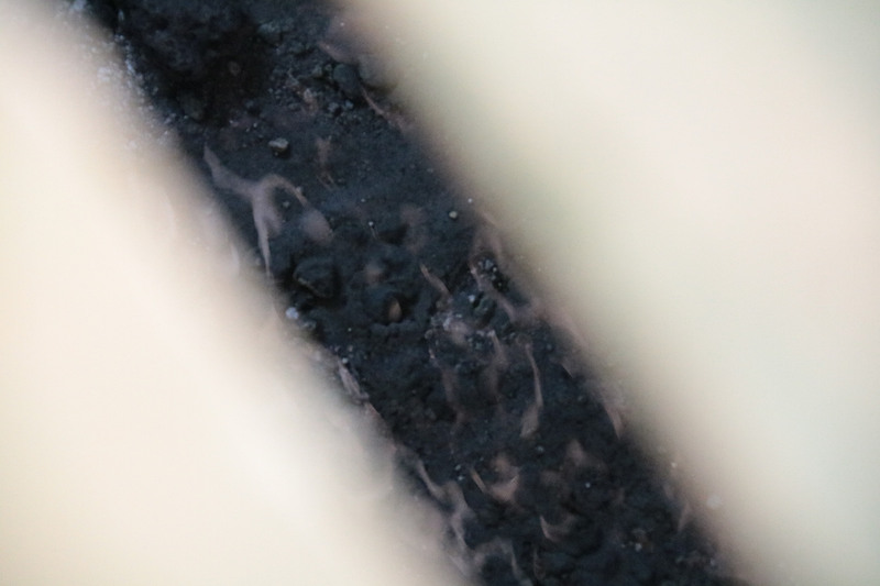 これが癒されるコテージ。簀子の下を流れる温泉を吸引しながらヒーリング。簡易ベッドに横たわると、通り過ぎる風の心地よさもあり眠ってしまいたくなる