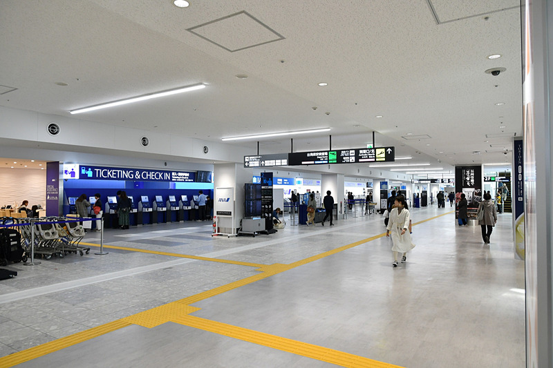 ほぼ正面にANAのチェックインカウンターがある
