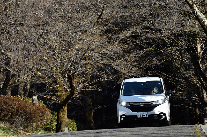 羊山公園は芝桜の名所。4月になると咲き始め、満開のころは大勢の人がここの芝桜を見に訪れる