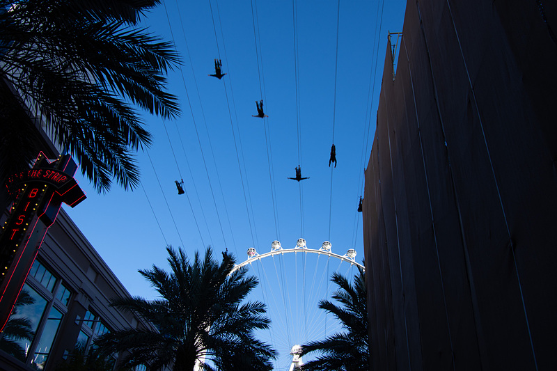 下から見るとこんな感じ