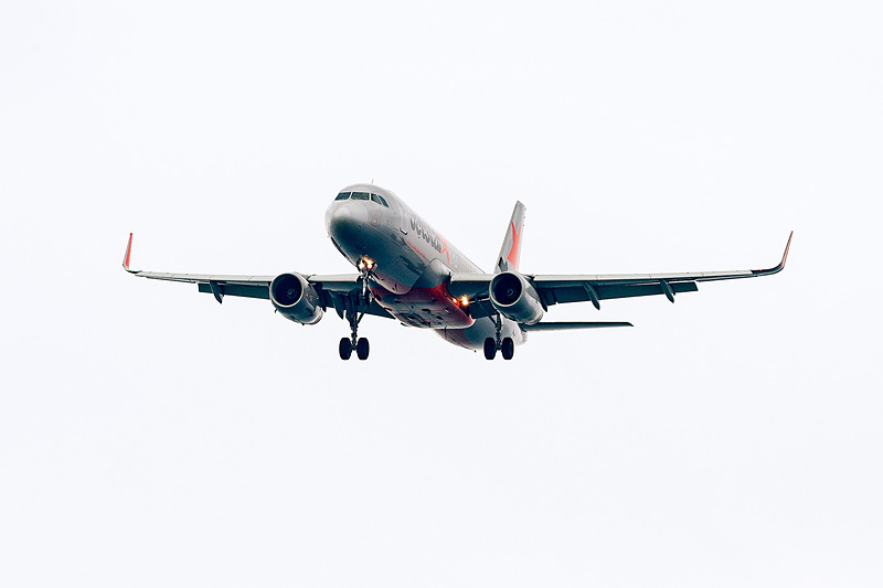 アップは撮りやすい。ここである必然性はまったくないけれど