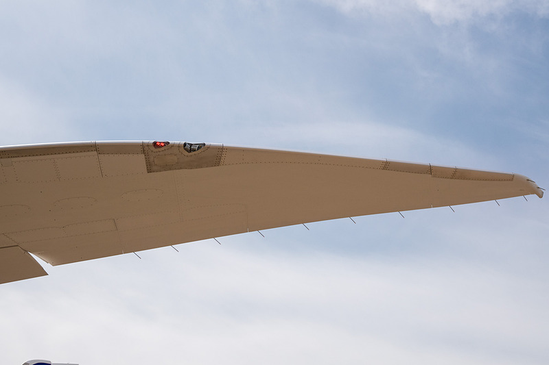 左水平尾翼の翼端