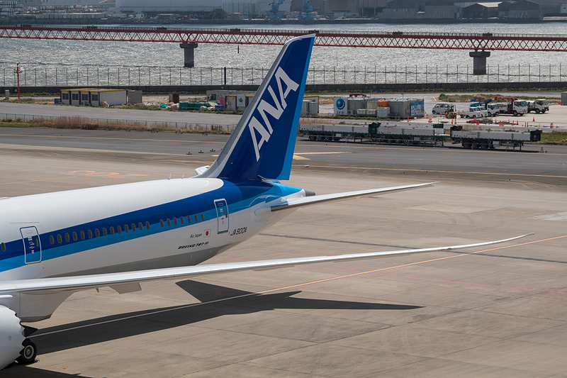 機体を上方から