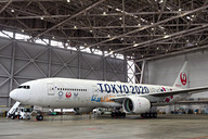 JAL、東京2020オリンピック特別塗装機「みんなのJAL2020ジェット」を4