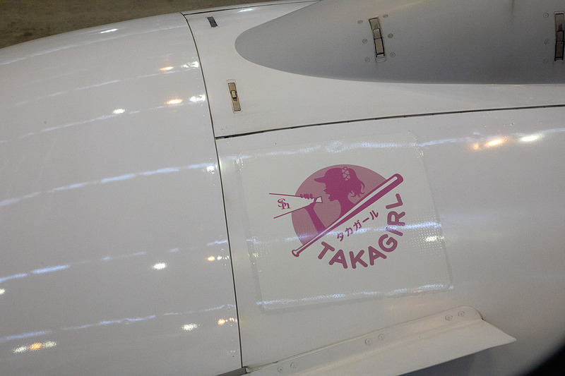 エンジンカウルにも同じマークが入る