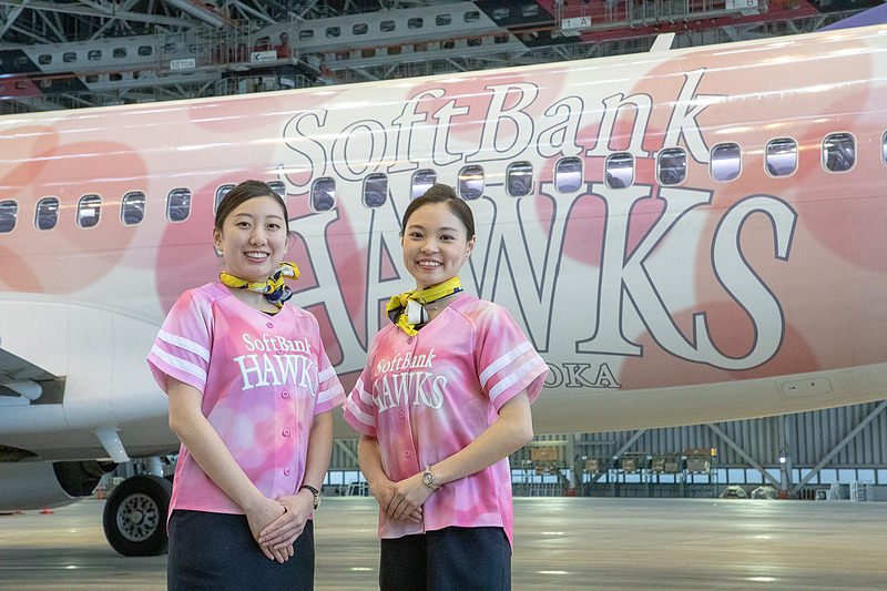 スカイマークは特別デザイン機「タカガールジェット」を公開した。4月11日からスカイマークが運航する路線に就航する