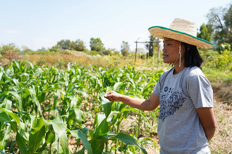農園を案内してくれたプーさん