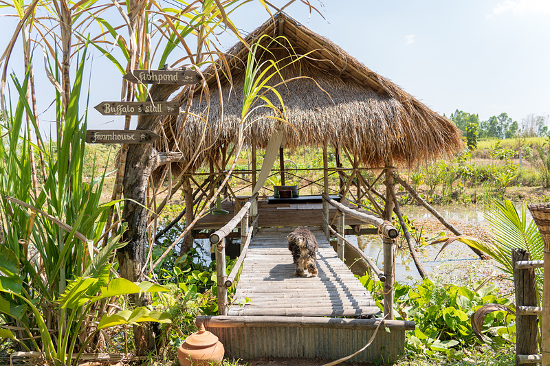 ホームステイはこの超アウトドアなファームハウスで寝泊まりするのだとか