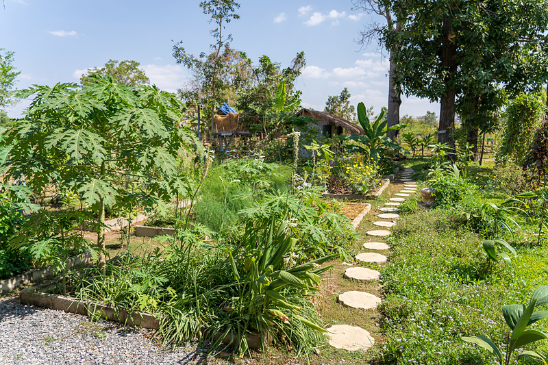 手入れが行き届いた美しい農園ですが、ここまでにかなりの苦労があったそう