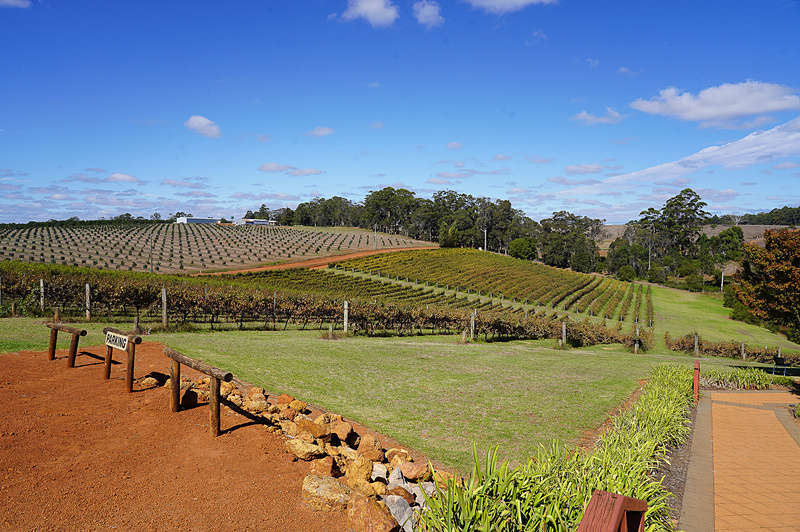 西オーストラリアはプレミアムワインの産地としても知られており、マーガレット・リバーやデンマークなど各地にプレミアムワインを生産するワイナリーが沢山ある