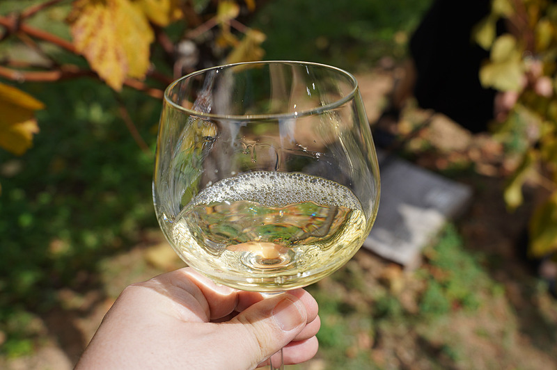 西オーストラリアはプレミアムワインの産地としても知られており、マーガレット・リバーやデンマークなど各地にプレミアムワインを生産するワイナリーが沢山ある