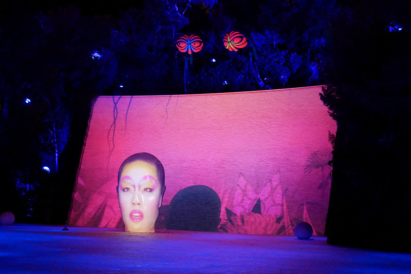 プロジェクションマッピングなどのさまざまな映像技術を駆使したショーが繰り広げられます